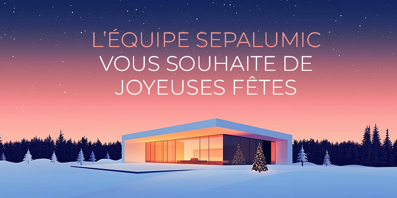 joyeuses fêtes 2024